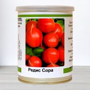 Семена профессиональные редиса Сора, (Германия), 100 г